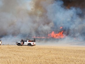 Twee beseer in brandweertrok ongeluk tydens Bredasdorp-veldbrand