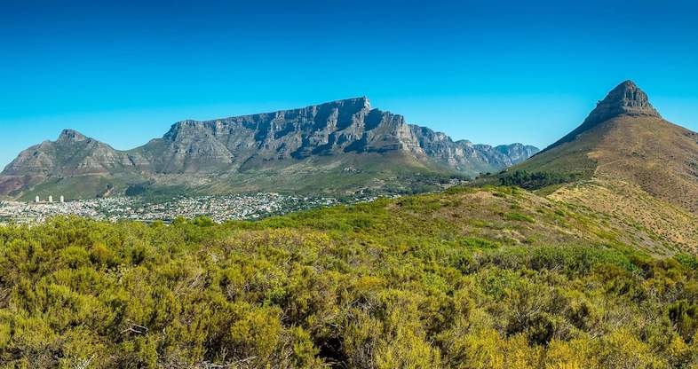 The #SaveTableMountain coalition, backed by nearly 11,000 petition signatures, claims crime is escalating in the world-famous park. However, South African National Parks (SANParks) disputes these figures, saying incidents have "stabilised to around single digit numbers."
