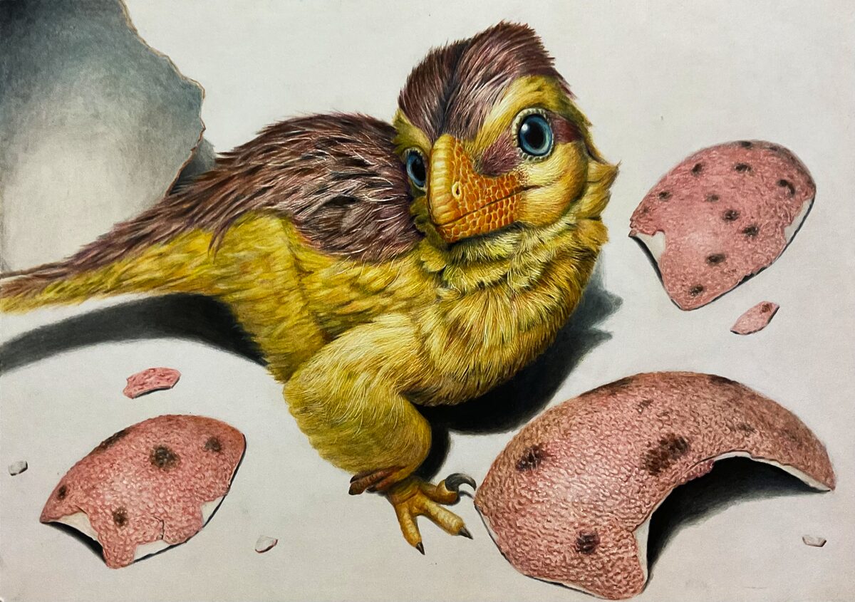 Dinosaur eggshells unlock a new way to tell time in the fossil record