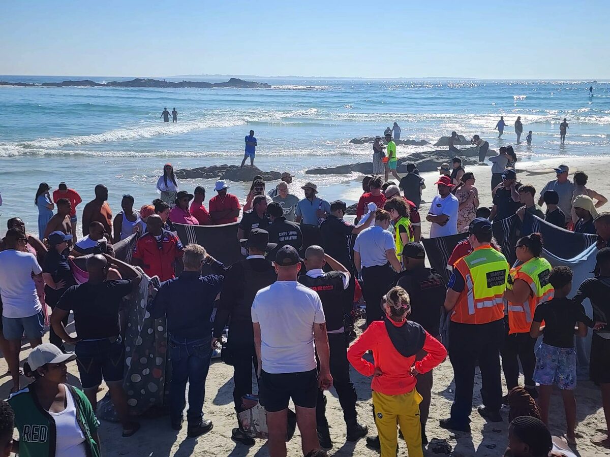 Beachgoers watched in silence as lifeguards fought to save a life at Small Bay.