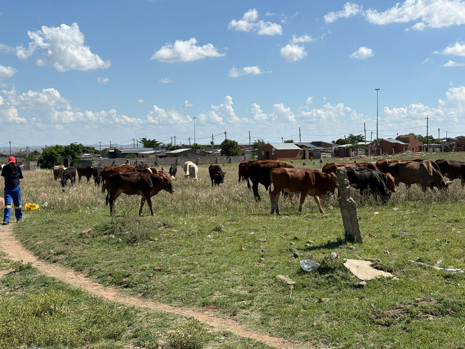 Masilonyana continues to face growing public outrage over the appalling condition of cemeteries across several townships.