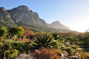 South Africa launches major report card on nation’s wildlife and natural heritage