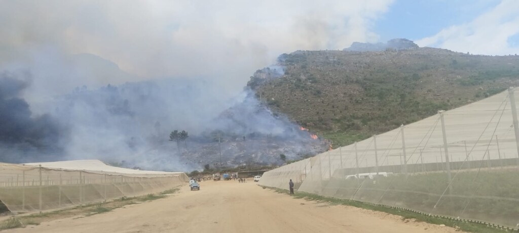 Wemmershoek brand