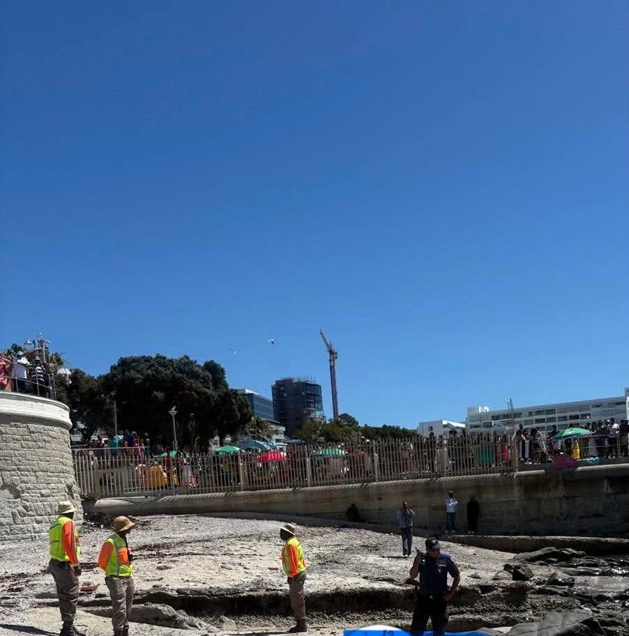 body found in Sea Point Pavilion