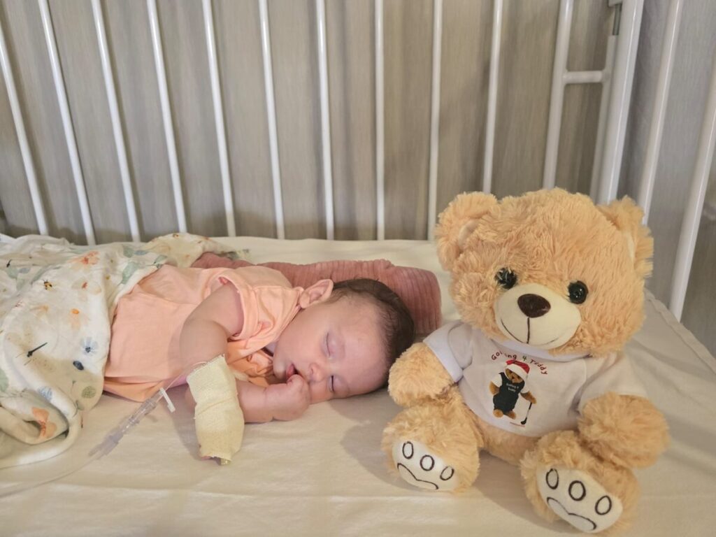 teddies
