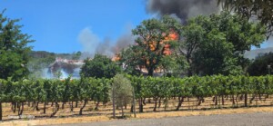 BREAKING NEWS: Historic building destroyed in fire at iconic Laborie Wine Estate