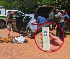 Seinblokkeerder-diewe vasgetrek by Vrede en Lust in Simondium