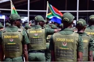 Rhino horns, lion and tiger bones seized in coordinated raid