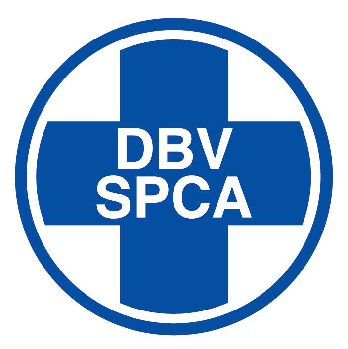 No animals will be put down because of space: SPCA update