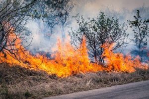 Wildfire re-ignites near Van Stadens, prompting renewed warning from NMBM