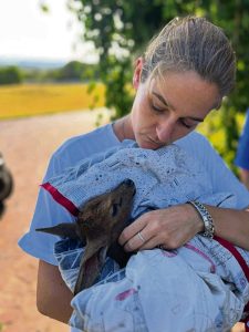 Paarlse vrou red diere uit die nadraai van verwoestende brand