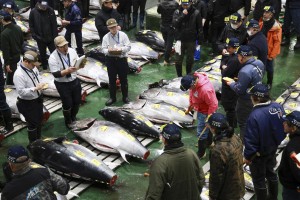Japanese ‘Tuna King’ pays record R53 million for bluefin at Tokyo auction