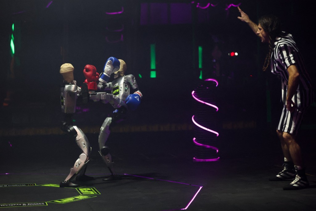 Robots compete with kicks and punches during the Consumer Electronics Show in Las Vegas. 