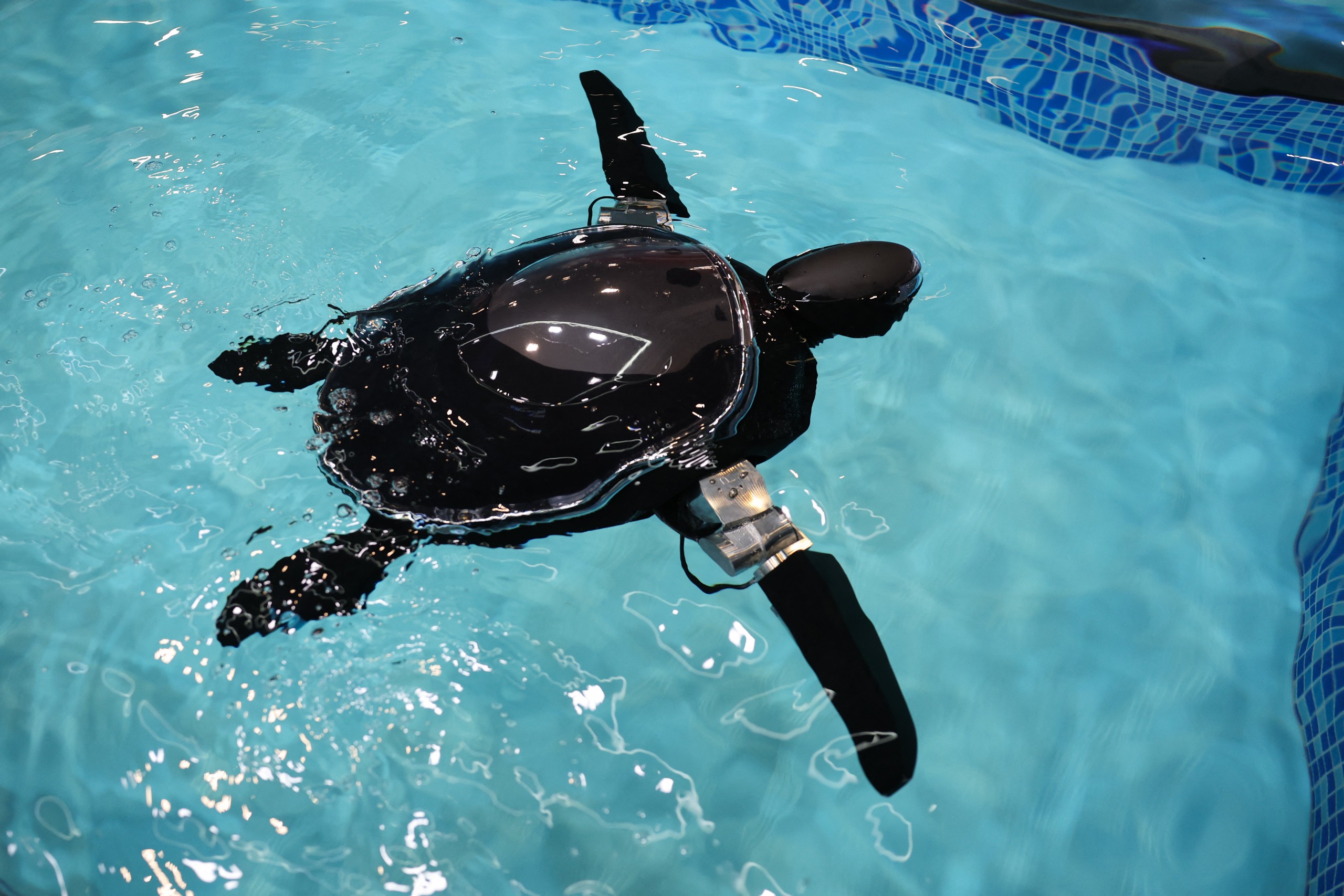 Industry calls for practical robots beyond dancing demonstrations