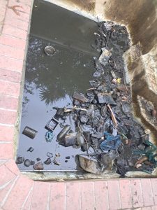 SPCA removes 120 fish from contaminated swimming pool in Fish Hoek