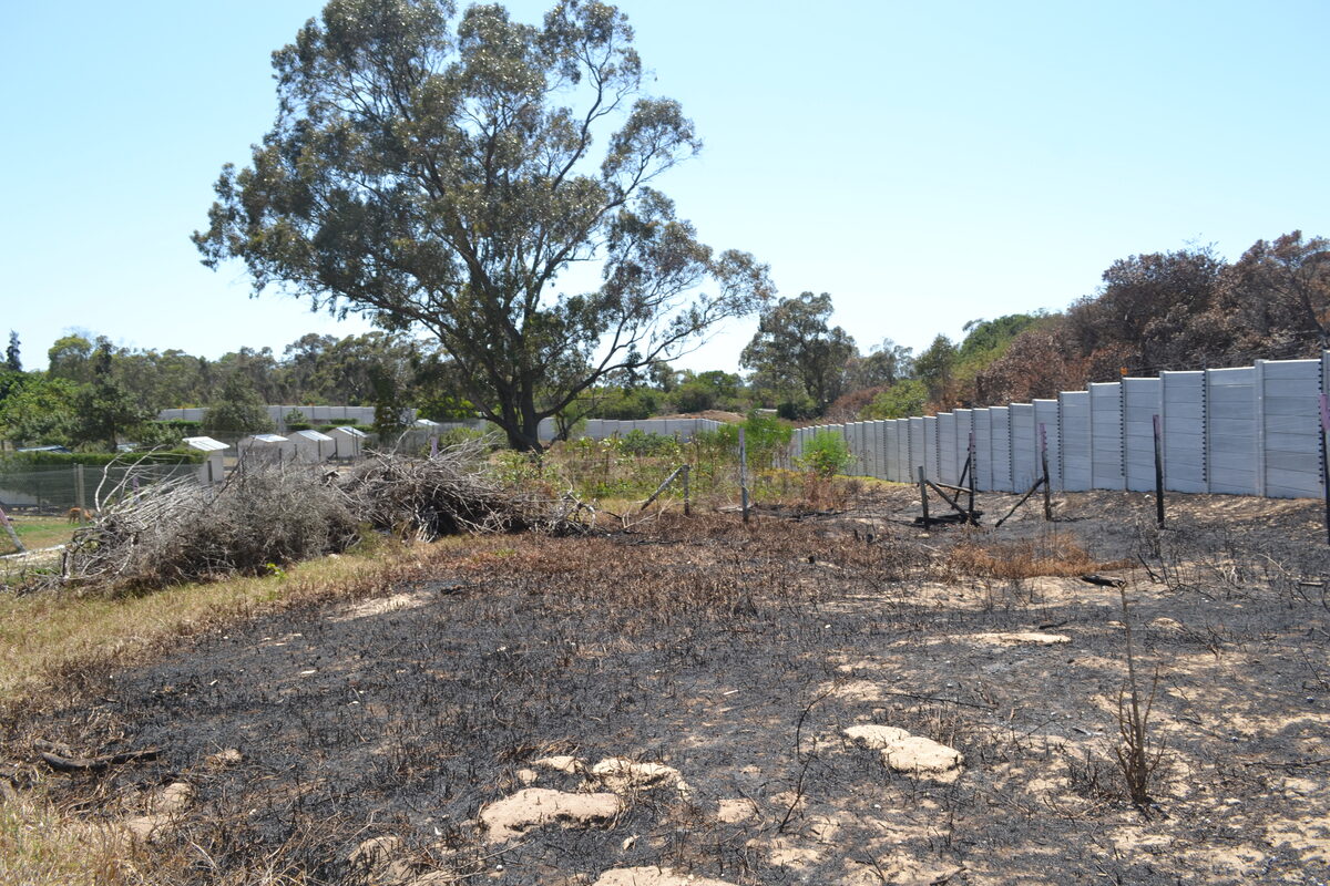 Fire season claims Animal Welfare Society worker