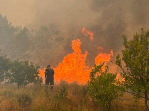 Cape Town firefighters respond to over 30 000 incidents in past year