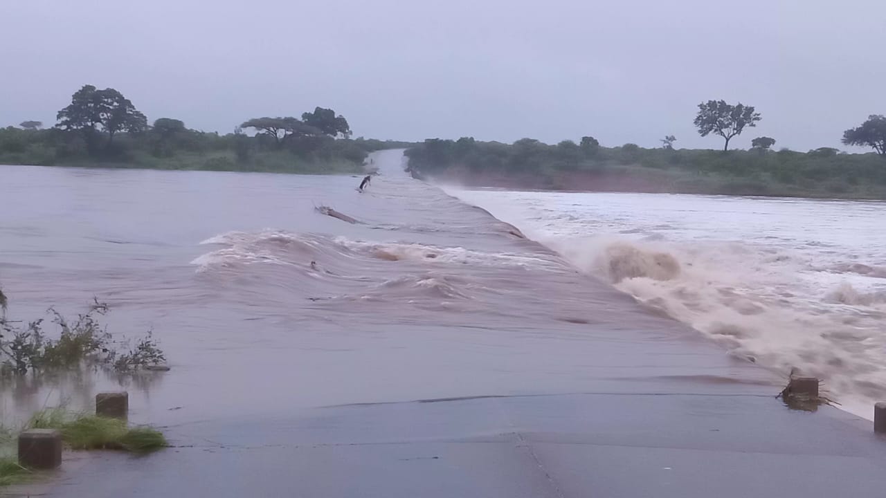 Lower Sabie low water bridge