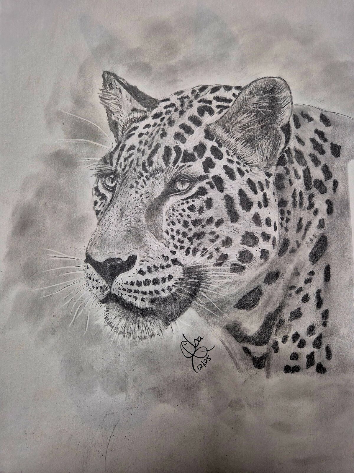 Die tekening van 'n luiperd wat kunstenaar Isabel Kruger in Desember 2025 geskep het.
