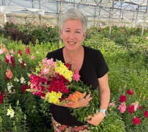 Love Dahlias Festival: Experience a blooming adventure in Douglas