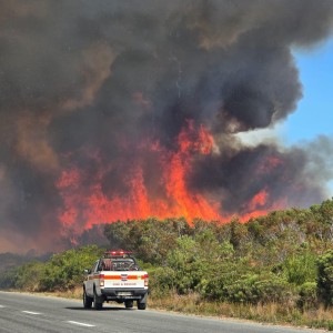 Wildfire podcast series highlights climate impact on Western Cape fire seasons
