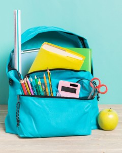 Western Cape ready for new school year, late applications a concern