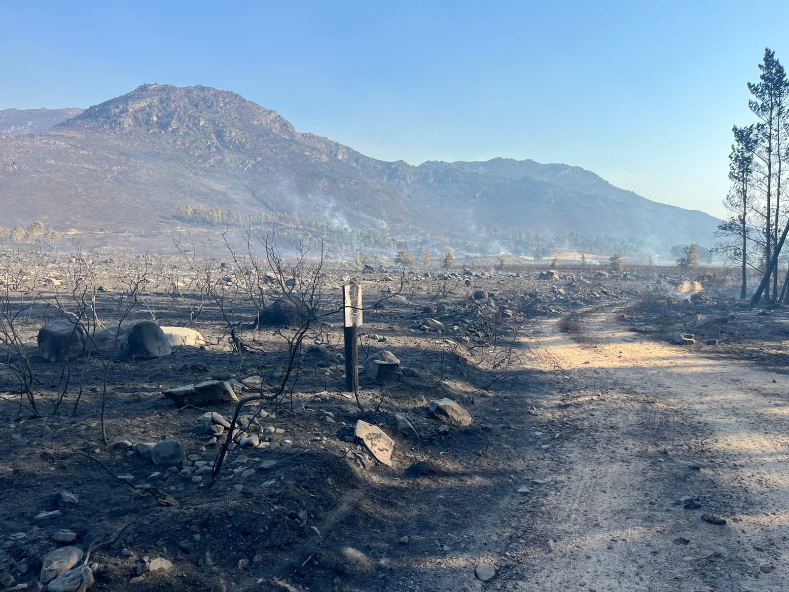 Paarl wine estate releases Phoenix blend to fund fire recovery