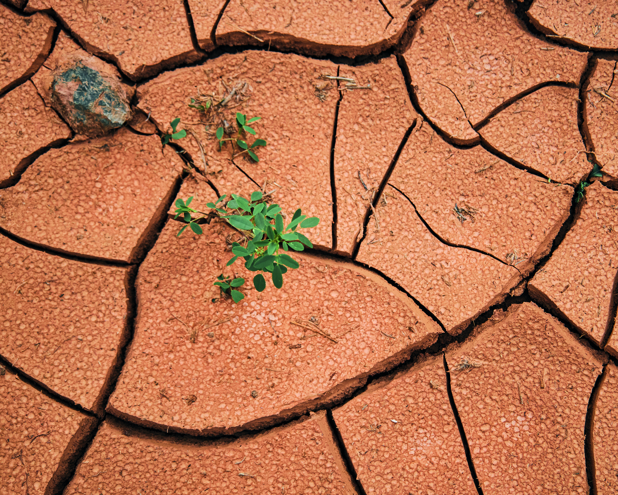 Garden Route water crisis deepens as multiple municipalities implement emergency restrictions