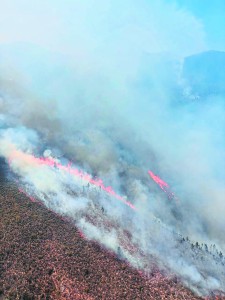 Western Cape spends R15m on aerial firefighting as fire season intensifies