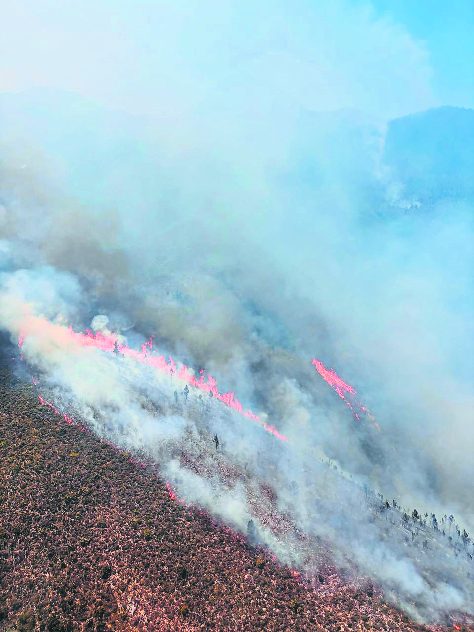 Firefighting teams monitor the Keurbooms–Soetkraal wildfire burning in remote mountainous terrain in the Tsitsikamma section of the Garden Route National Park.