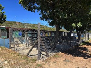 Controversy surrounds change in NMB animal pound operator