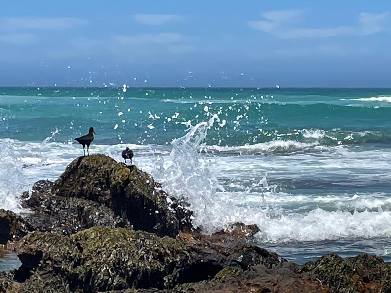 South African beachgoers are being urged to take extra care this weekend as dangerous sea conditions develop along the coastline.