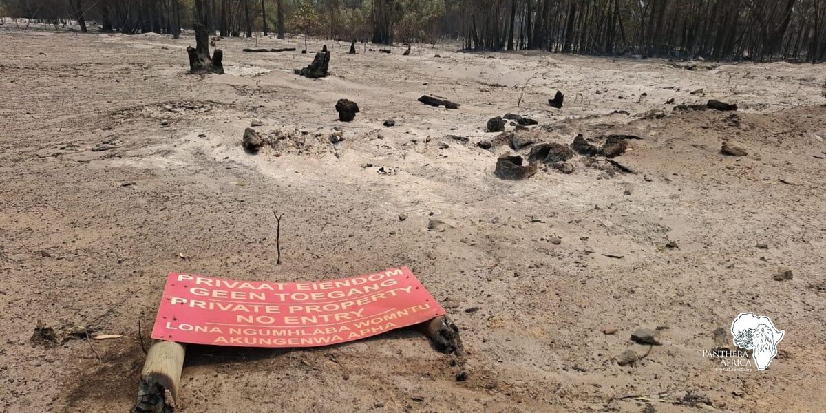 Fire crews and sanctuary staff fought tirelessly to protect animals and infrastructure.