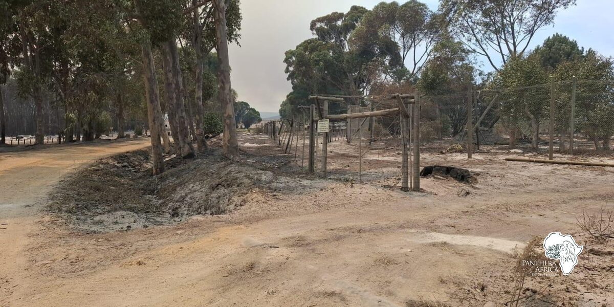 Burned enclosures now stand as a stark reminder of the fire’s intensity.