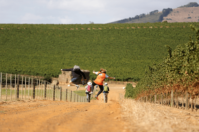 Die Weg-stapfees word van 20 tot 22 Februarie by Meerendal buite Durbanville aangebied