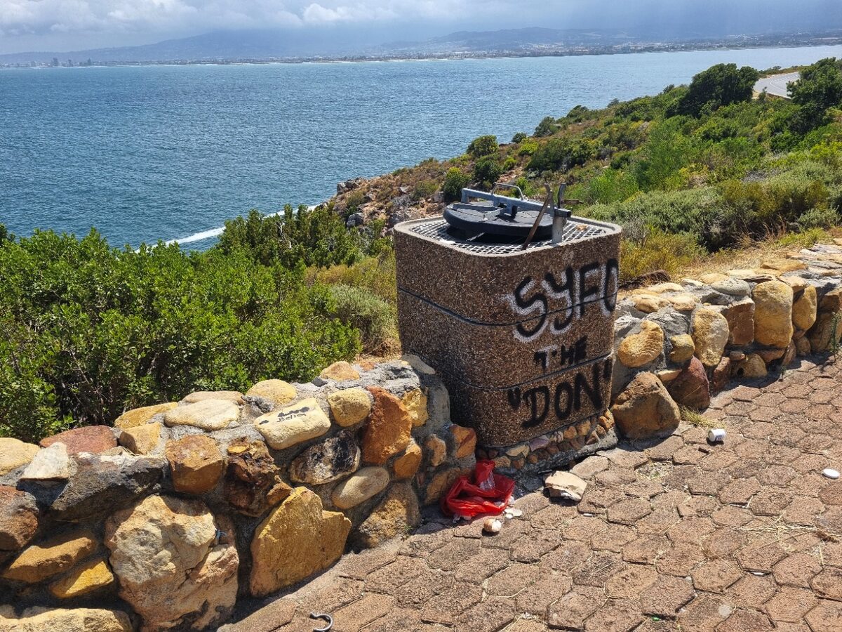 Overflowing bins are endangering R44’s baboons, claims Rooiels conservancy