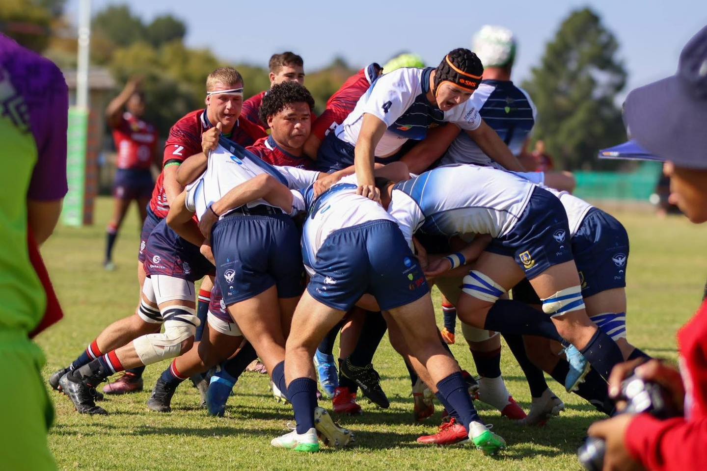 Bruin Bere gaan wil wraak neem teen Witteberg in Bethlehem