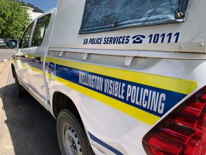 Dragtige hond sterf nadat Wellingtonse jong man haar glo wreed verkrag