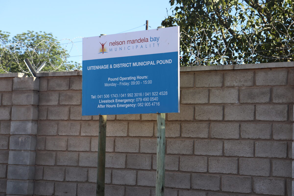 The Nelson Mandela Bay Municipality's (NMBM) animal pound is open to the public.