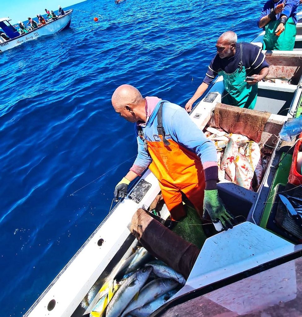 An environmental justice organisation has called on the South African Human Rights Commission to address systemic inequality facing small-scale fishing communities, as the commission prepares to examine structural failures in the country's food systems.