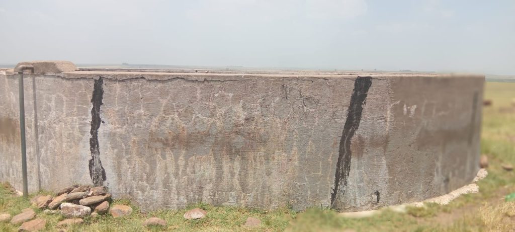 
There is no proper control over cattle movement and roaming, nor adequate testing, removal, and disposal of dead cattle in residential areas.