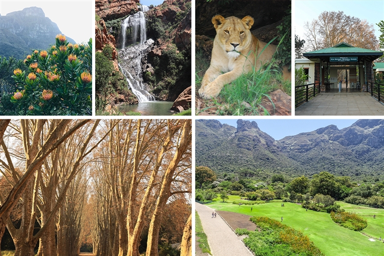 National Gardens Week 2026 builds on the momentum of last year's debut