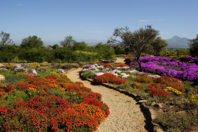 Celebrate National Gardens Week with free access to South Africa’s national botanical and zoological gardens 