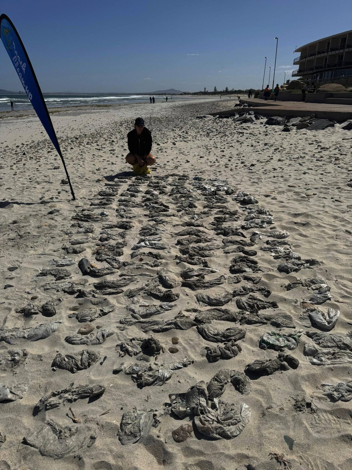 Volunteers collected 187 disposable nappies in just over an hour at Lagoon Beach.