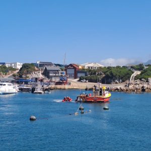 Twee verdrink in die Overstrand die afgelope week aangemeld