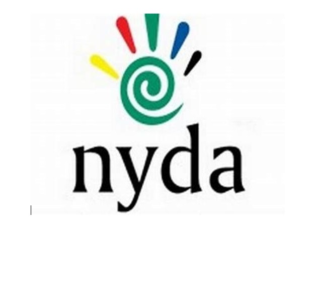 Youth Development Agency slammed for R1 million New York trip