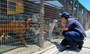 Community donates more than R1 million to SPCA facing eviction