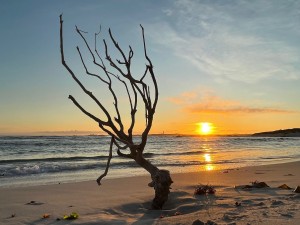 Heatwave grips Western Cape as temperatures soar into high 30s