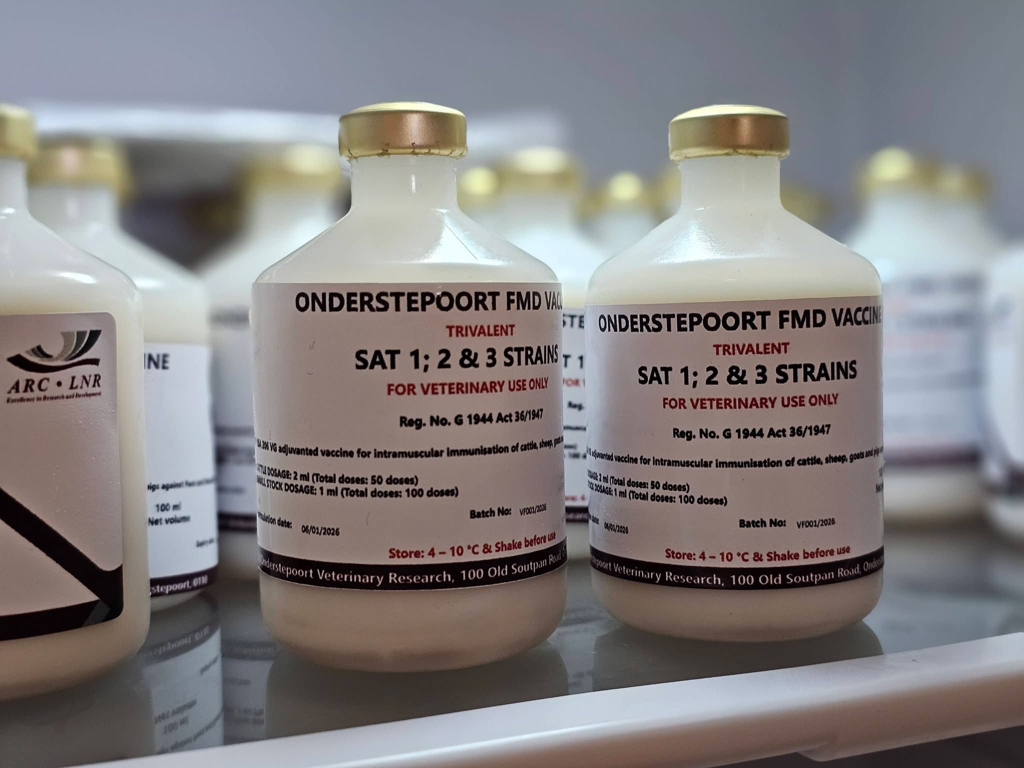 Ses nuwe gevalle van bek-en-klouseer is op Vrydag 6 Maart deur die department van landbou en landelike ontwikkeling in die Vrystaat bevestig, wat die totale uitbrekings op 386 bring. Meer as 43 000 beeste is reeds ingeënt tydens ’n grootskaalse gratis inentingsveldtog deur die department om die siekte vinniger te probeer beheer.