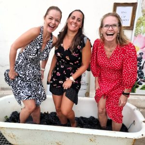 Winefarms of Durbanville Wine Valley celebrates end of harvest